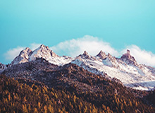 记者：曼城vs狼队裁判哈利姆未被取消英超执法资格